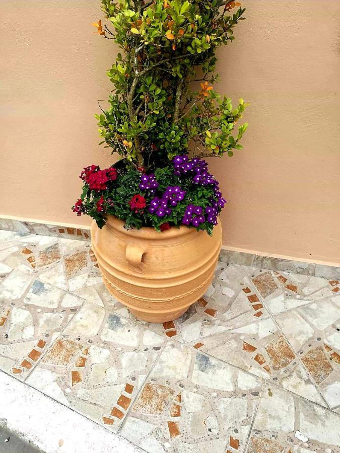 Joy New Port Studio Corfu Town Corfu (city) Exterior foto